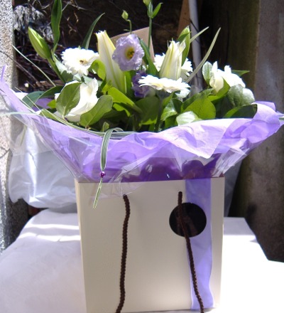 Lilac Scentsation